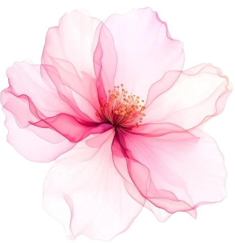 Amour-Photo-2-WV-26062