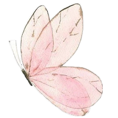 Amour-Photo-5f-WV-26062